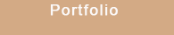 Portfolio Button